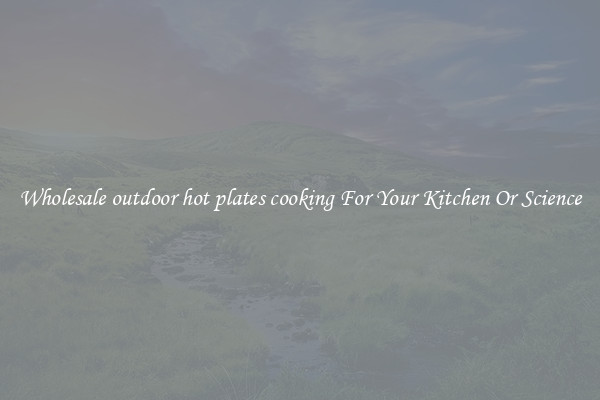 Wholesale outdoor hot plates cooking For Your Kitchen Or Science