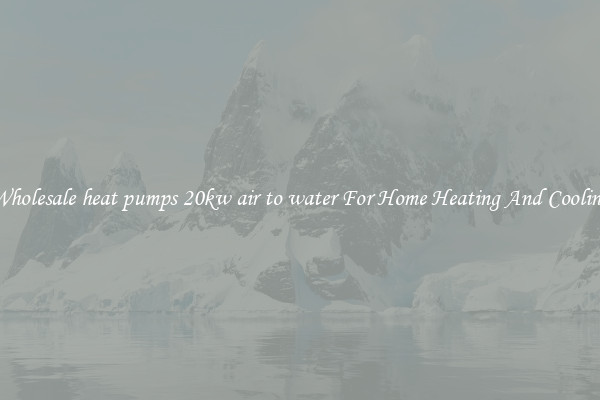 Wholesale heat pumps 20kw air to water For Home Heating And Cooling