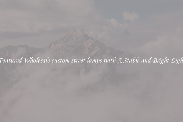 Featured Wholesale custom street lamps with A Stable and Bright Light