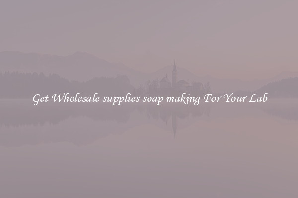 Get Wholesale supplies soap making For Your Lab