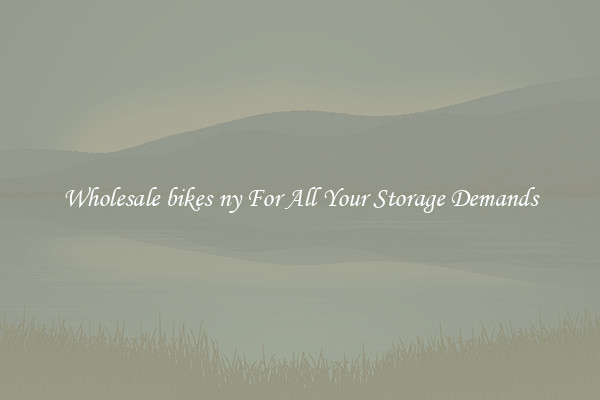 Wholesale bikes ny For All Your Storage Demands