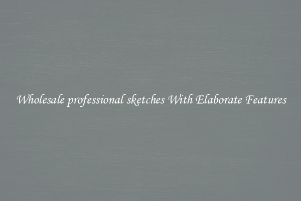 Wholesale professional sketches With Elaborate Features