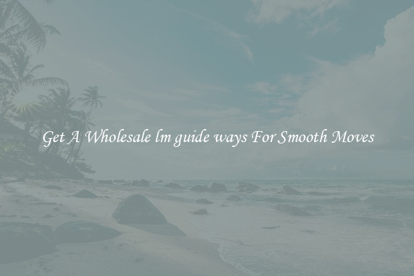 Get A Wholesale lm guide ways For Smooth Moves