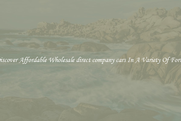 Discover Affordable Wholesale direct company cars In A Variety Of Forms