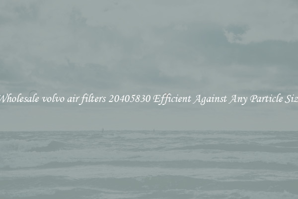 Wholesale volvo air filters 20405830 Efficient Against Any Particle Size