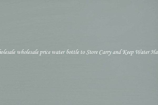 Wholesale wholesale price water bottle to Store Carry and Keep Water Handy