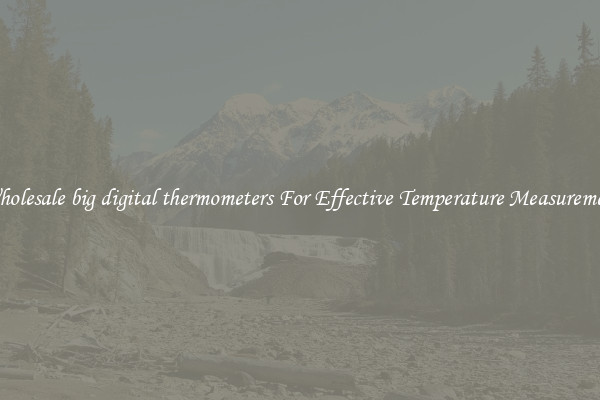 Wholesale big digital thermometers For Effective Temperature Measurement