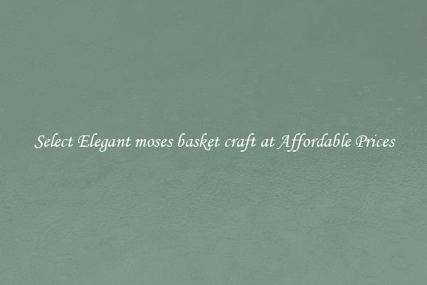 Select Elegant moses basket craft at Affordable Prices