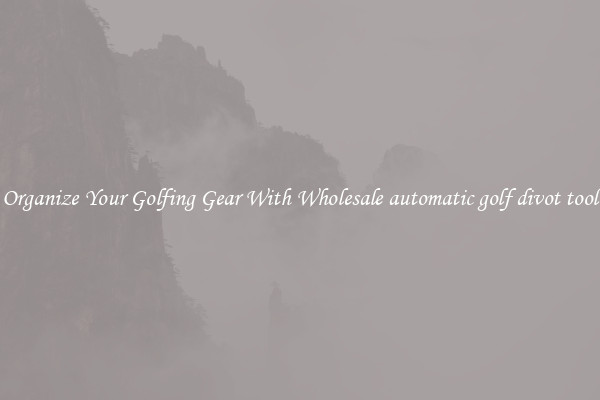 Organize Your Golfing Gear With Wholesale automatic golf divot tool