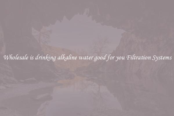 Wholesale is drinking alkaline water good for you Filtration Systems