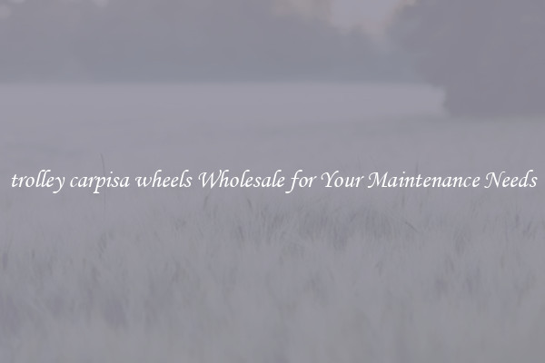 trolley carpisa wheels Wholesale for Your Maintenance Needs
