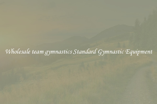 Wholesale team gymnastics Standard Gymnastic Equipment