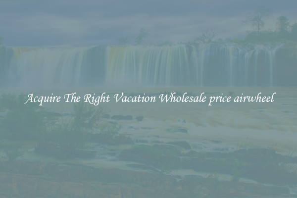 Acquire The Right Vacation Wholesale price airwheel