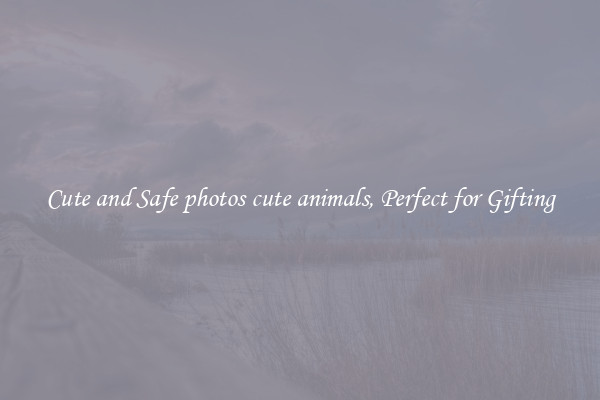 Cute and Safe photos cute animals, Perfect for Gifting
