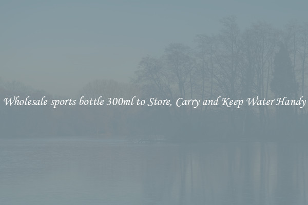 Wholesale sports bottle 300ml to Store, Carry and Keep Water Handy